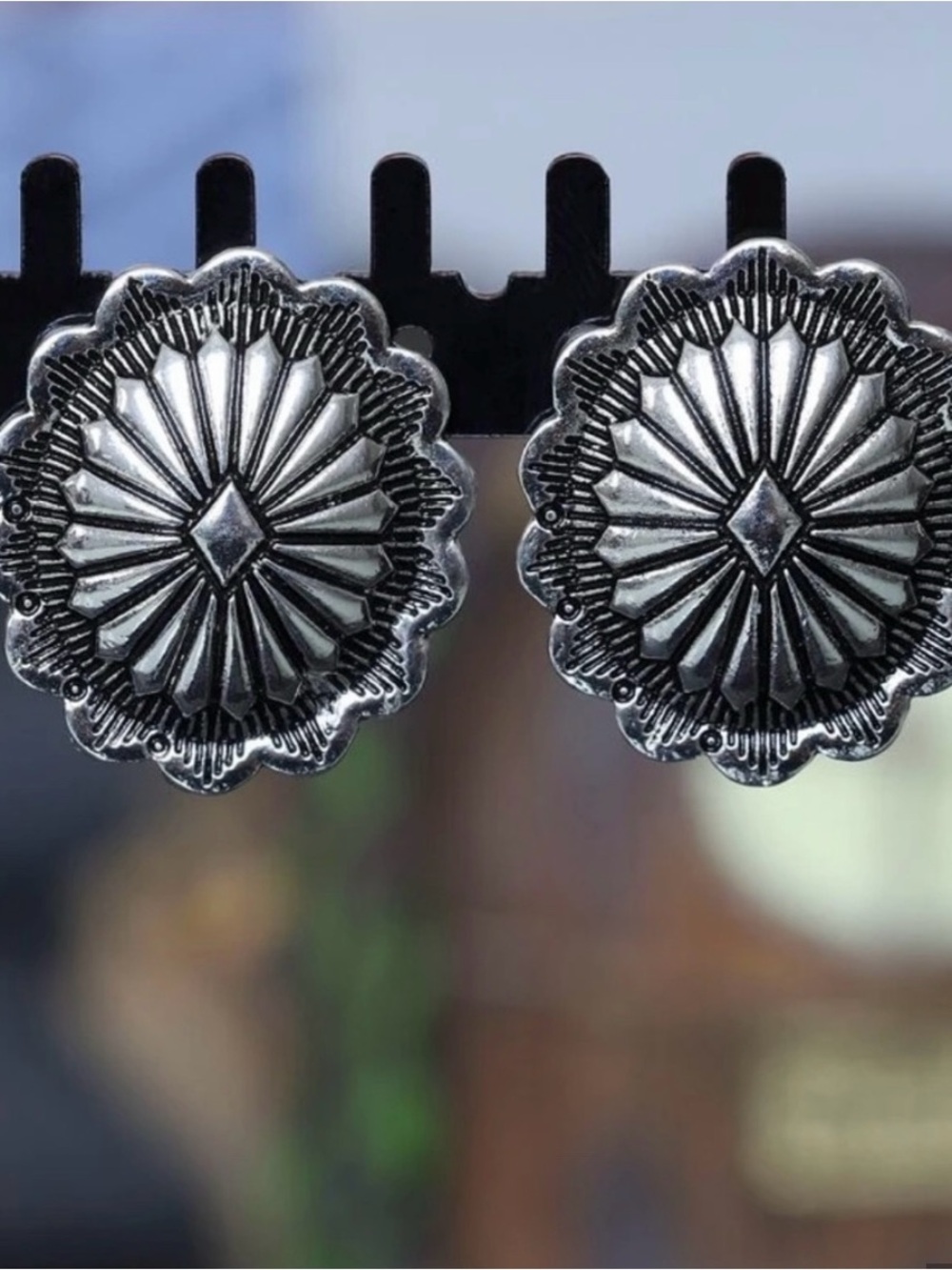 Silver Earrings